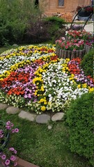 flowers in the garden