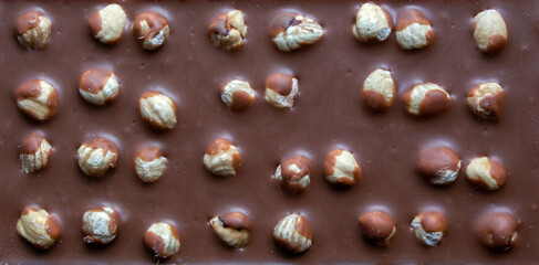 close-up of  milk chocolate bar with whole hazelnuts. selective focus. top view