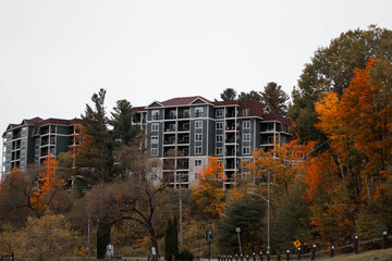 Apartment Realestate