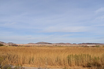 Landscape with mountain and sky