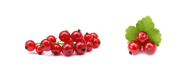 Fresh red currant isolated on white background