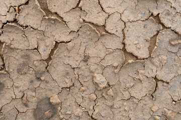 texture of the ground
