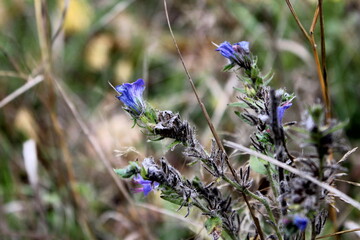 ID файла(-ов): 412968238, 412968005, 412967276, 412967204, 412967106, 412967046, 412966816, 412964519, 412964305, 412963632, 412960491, 412960210, 412959812, 412959741 - Исходные имена: IMG_5548.JPG, 