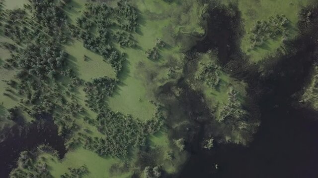 flight over a large swamp