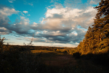 Cambridge Fields
