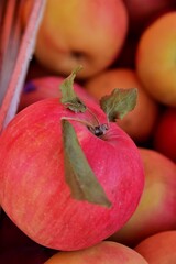 red apples on a white background
