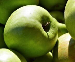 granny smith apples