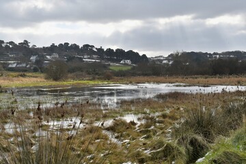 Beautiful landscape at Plougrescant in Brittany. France