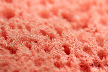 Sponge Texture