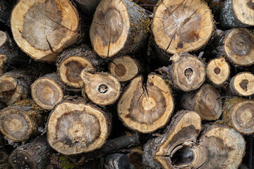 firewood stacked in a woodpile. Aged timber. Pattern