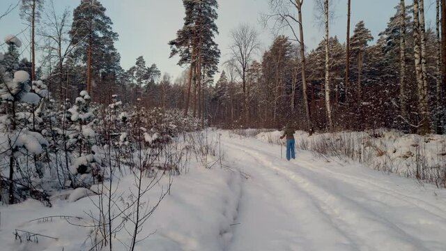 woman cross country skiing through deep snow with snowy trees and blue sky in background winter, beautiful scenery
