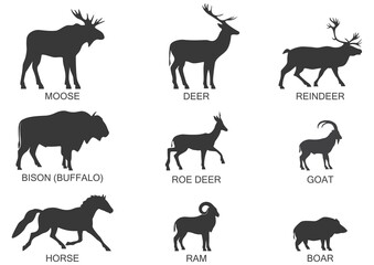 Silhouettes of wild herbivores, icon set. Vector illustration on a white background.