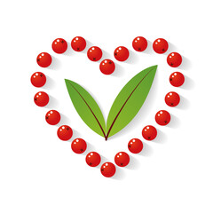 Composition of rowan berries and leaves heart shaped with shadow. Vector illustration on white background. Mountain ash summer design. Gradient fill