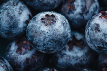 Beautiful macro of a fresh blueberry