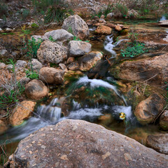 Naklejka na ściany i meble Creek flowing water between rocks in the forest. Little river stream among stones in the mountain