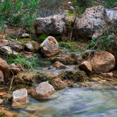 Creek flowing water between rocks in the forest. Little river stream among stones in the mountain