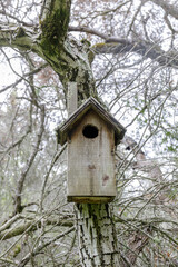 Wooden Birdhouse Hanging from a tree. Foothills Park, Palo Alto, California, USA.