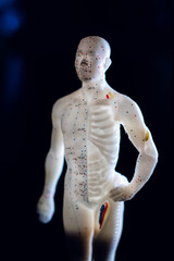 Acupuncture doll 
