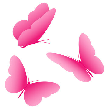 Pink butterfly, icon, set. Vector illustration isolated on white background.