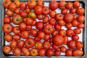 tomatoes in a market