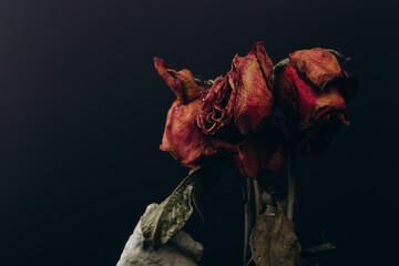 Bouquet of red dry withered roses on a black background. Floral composition 