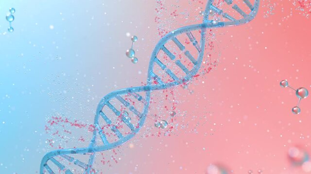 DNA genomes structure with division molecule, 3d rendering.