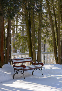 Snow-covered benche in the park. Sunny winter morning