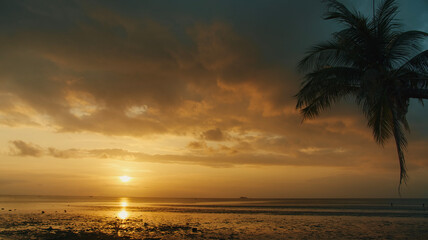 Low tide beach sunset view with palm tree