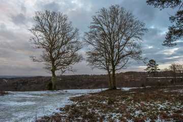 Hindhead Common, in the Snow