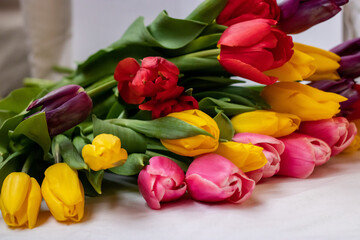 Yellow, pink, red, lilac tulips with green leaves on a white background