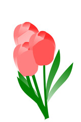bouquet tulipani rosa