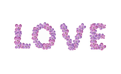 the word "love" on a white background from letters composed of lilac flowers
