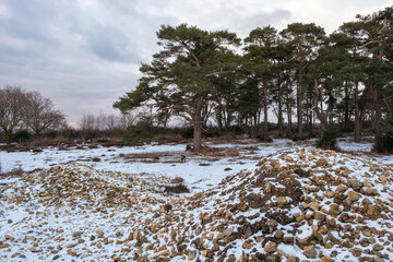 Hindhead Common, in the Snow
