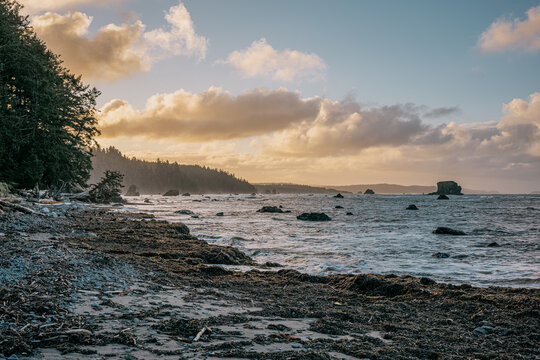 Cape Alava in Olympic National Park.