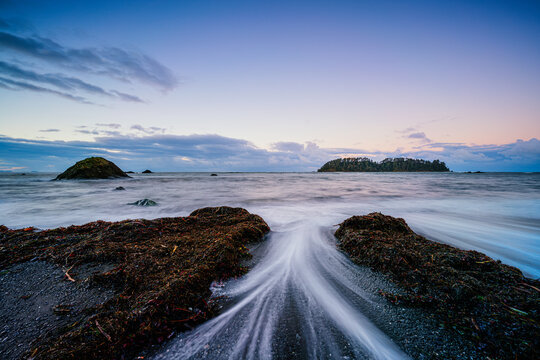 Cape Alava in Olympic National Park.