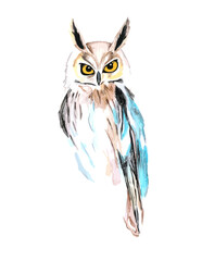 Hand drawn watercolor colorful illustration of owl isolated on white background.
