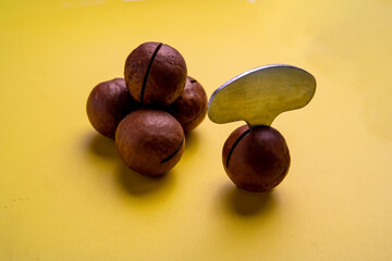 a few macadamia nuts lie on a yellow background. A key for opening nuts is inserted in one nut