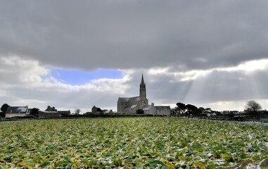 Beautiful landscape with snow at Plougrescant in Brittany. France
