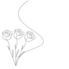 Roses flower on white background, vector illustration