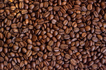 Fototapeta premium Roasted coffee beans background for design