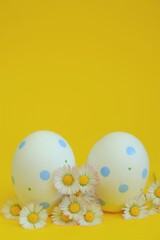 Easter holiday. Easter white speckled  eggs and chamomile flowers on a bright yellow background.Spring festive easter background in pastel colors	.Easter light festive background