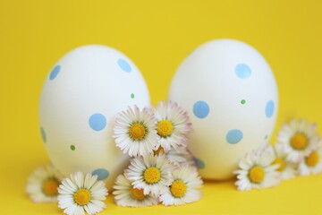 Easter holiday. Easter white  eggs and chamomile flowers on a bright yellow background.Spring festive easter background in pastel colors	.Easter light festive background