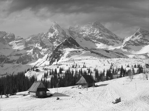 Fototapeta Houses on the background of the Tatras