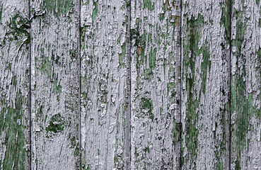 Old abandoned wooden door
