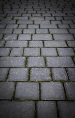Paving stones on the ground