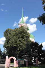 The spire of the Orthodox church and the tree growing in front of it.