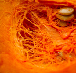Orange pumpkin inside