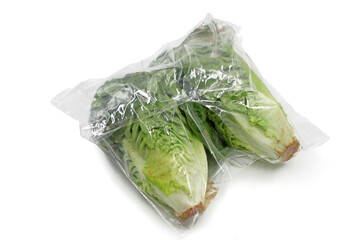romaine lettuce packed in a plastic isolated on white background