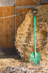 a stable with hay prepared for horses. Stable door, fence, green shovel, ranch work 