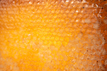 Honeycomb, honeycombs in the wooden frame. Wooden background, selective focus.